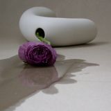MUTUALISMUS - Single fallen with purple flower